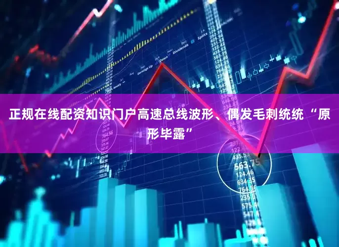 正规在线配资知识门户高速总线波形、偶发毛刺统统 “原形毕露”