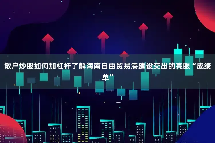 散户炒股如何加杠杆了解海南自由贸易港建设交出的亮眼“成绩单”
